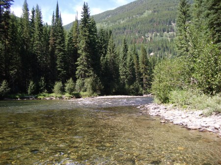 Skookumchuck Creek