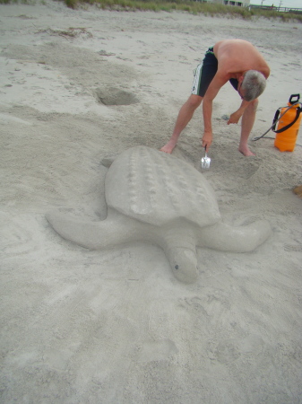 Sand turtle at the beach this summer