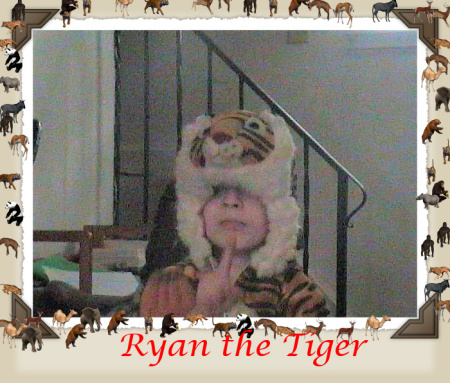 My little tiger Ryan