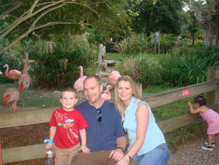 Family at the Zoo