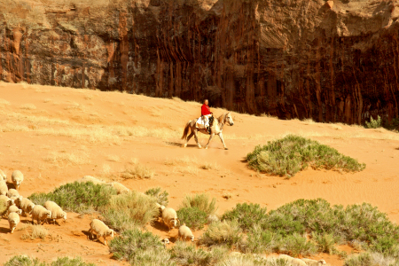Navajo Shepherdess