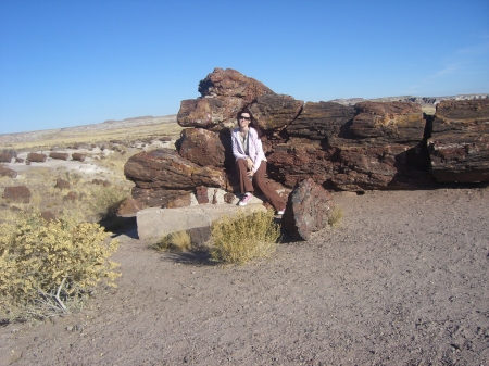 Me at the Petrified Forest