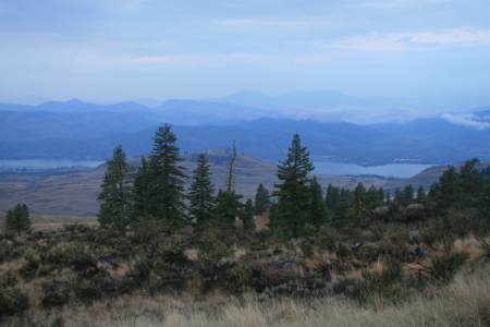 The view from my tent in washington