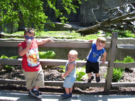 Grandsons at the zoo