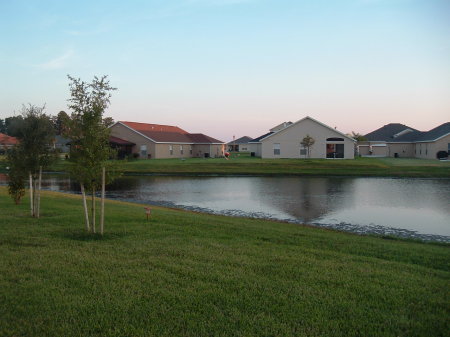 Back yard in florida