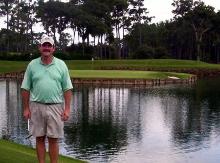 Sawgrass TPC - 17th hole