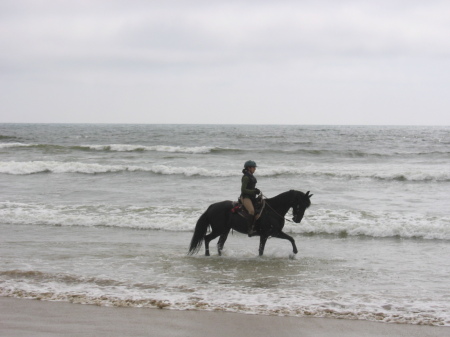 The beach ride