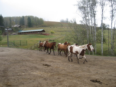 Larry Jovanovich's album, Bull Hill 2010