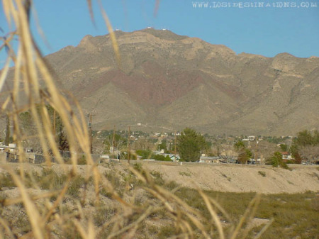 Thunderbird on the mountain