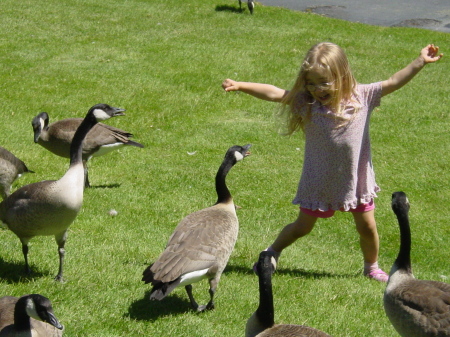 Sophia and some Geese