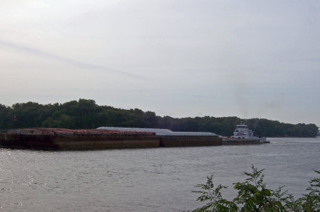Standing Along The Mississippi River.