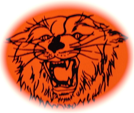 Aledo High School Logo Photo Album