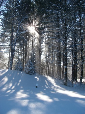 Hiram in snow