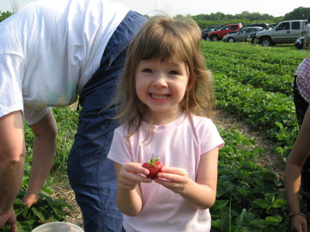 Pickin Strawberries in 2007