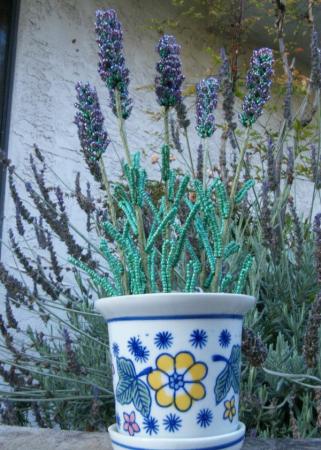 french beaded lavender