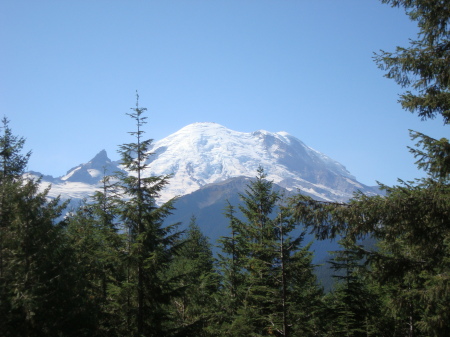 Mt Rainer