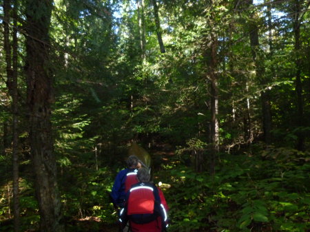 3/4 portage from beaver pond to Longpond day 2