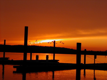 Fort Washington Marina, Md