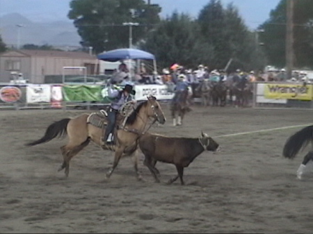 team roping state finals