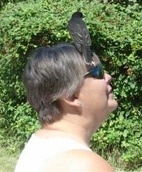 Rook Park bird on my head again