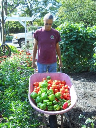 me and my garden