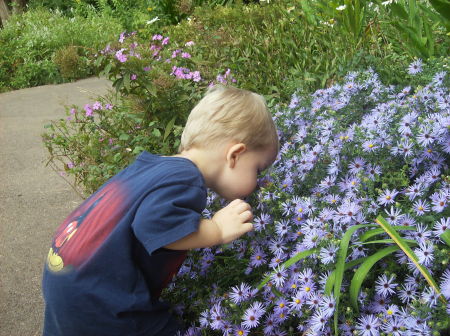 2008 Dallas Arboretum