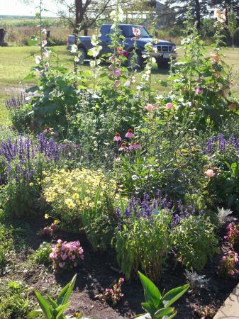 The flowers and the truck, summer of 2008