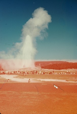 yellowstone Nat'l park