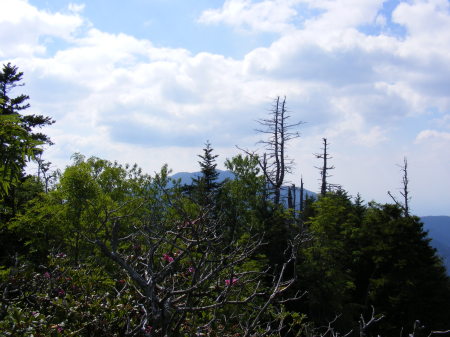 Mt. LeConte