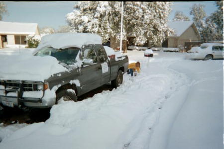 White Christmas in South Texas