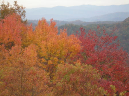 Beautiful fall afternoon in Tennessee