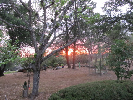 front yard  tough to look at every night