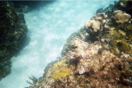 Jamaica- Underwater