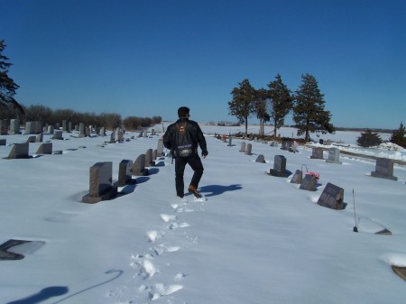 Annual Flowers on Mama's Resting Place