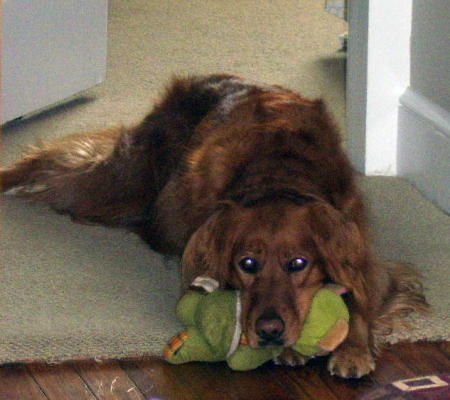 Chardonney with her bear