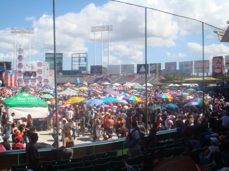 dia nacional de la salsa 004