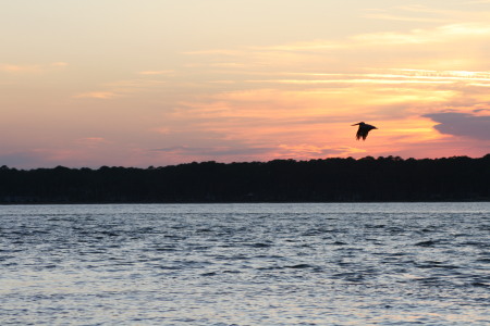 Sunset in Hilton Head, SC