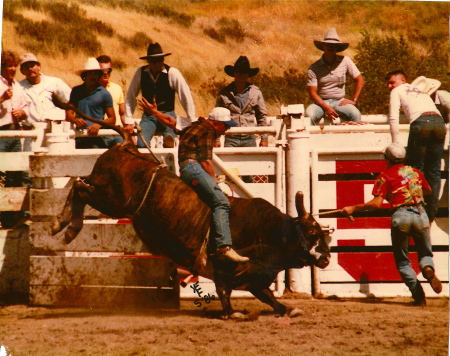 Bull Riding Camp Pendleton CA