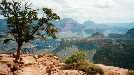 Grand canyon View
