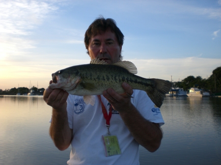 small large mouth at 7 plus lbs