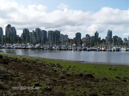 Vancouver Skyline from Stanley Island