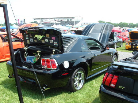 2000 FORD MUSTANG GT  5 SPEED