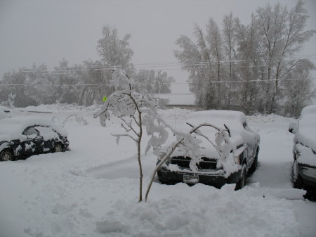 Winter 2007 Gunnison, CO.   Typical Brrrrrrrrr