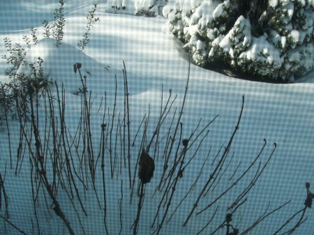 winter 2009/10