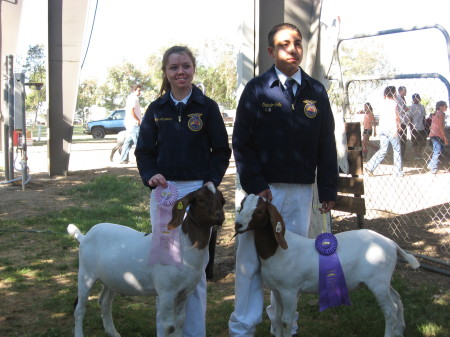 Colusa County Fair 2008