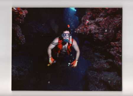 Diving Devil's Grotto Grand Cayman Island