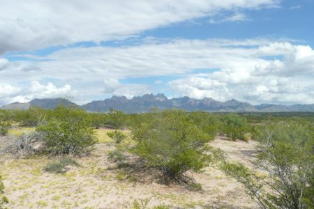 Desertview of Organ Mts.