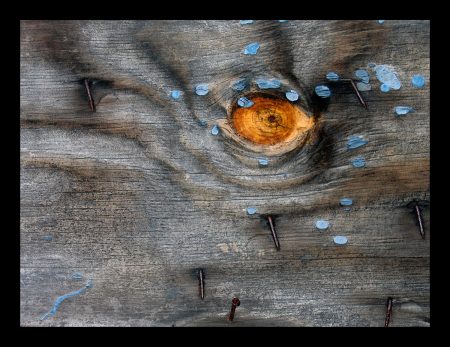 Whale Eye