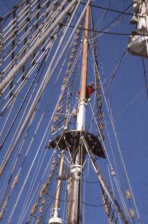 Tall Ship Regina Maris