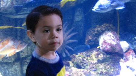 Roman At the Aquarium